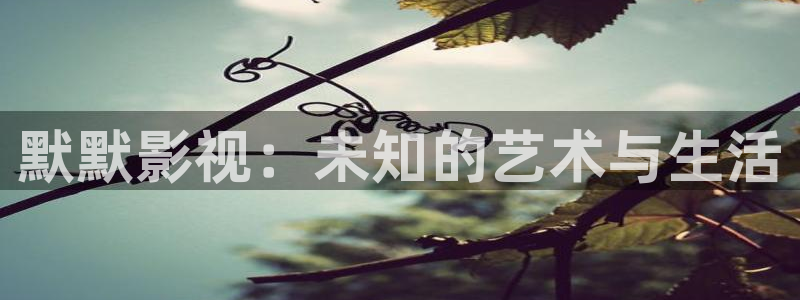 爱丫爱丫电视剧免费看