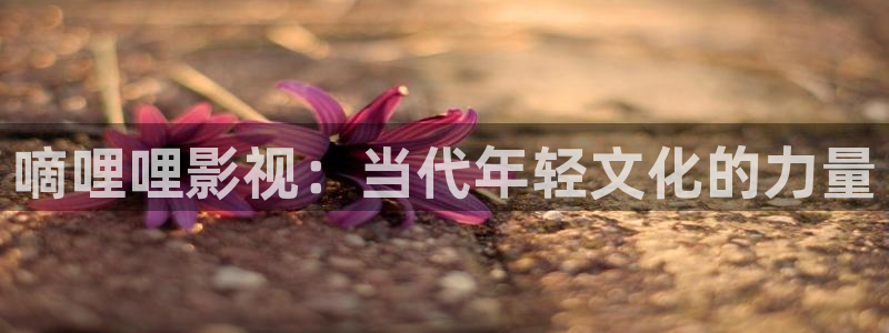 爱丫爱丫电视剧在线观看免费播放 动漫