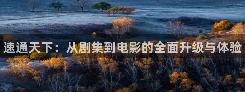 爱丫爱丫我愿意电视剧可以在哪看：速通天下：从剧集到电影的全面升级与体验