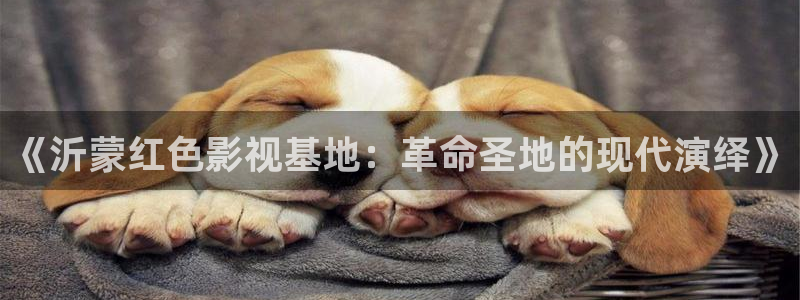 爱丫爱丫在线观看免费