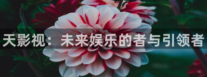 爱丫爱丫电视剧免费观看24集
