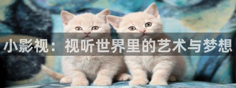 爱丫爱丫在线影院电视剧免